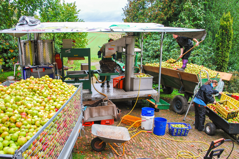 BioLieferservice Grüner Bote, Witzenhausen